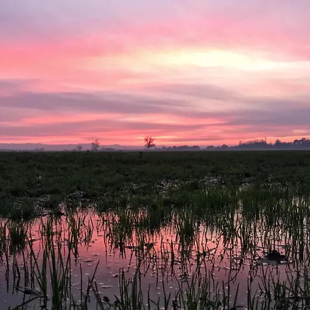 Le Stanze Di Matilde