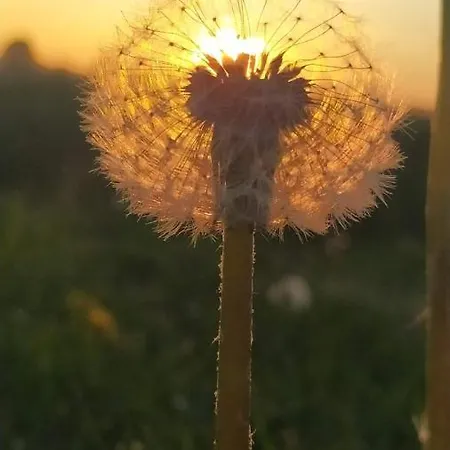 Alojamento de Acomodação e Pequeno-almoço Le Stanze Di Matilde Crevalcore