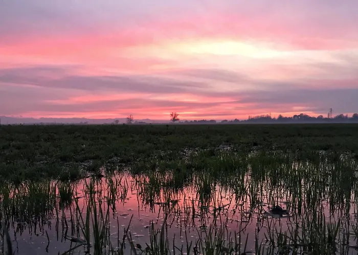 Le Stanze Di Matilde