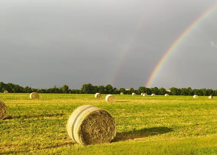 ベッド・アンド・ブレックファスト Le Stanze Di Matilde Crevalcore