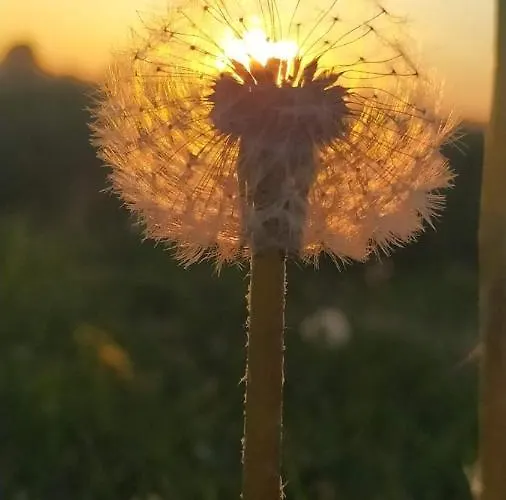Couette-café Le Stanze Di Matilde Crevalcore